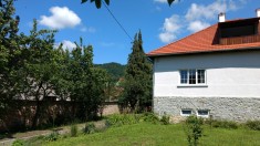 Vand case (vila +casa mica) in Baia Sprie, Maramures foto