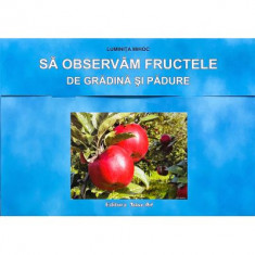 Sa observam fructele de gradina si padure. Mapa cu planse - Luminita Mihoc