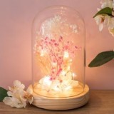 Cupola Decorativă de Sticlă cu LED și Flori Roz Albe, CMCLASS