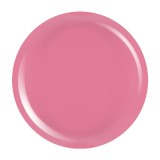 Cumpara ieftin Gel Colorat UV PigmentPro LUXORISE - Peony Tint, 5ml