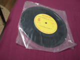 DISC VINIL MARGARETA PASLARU RARITATE!!!! EDC 572