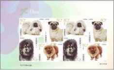CHINA 2006 FAUNA ANIMALE DOMESTICE CAINI foto