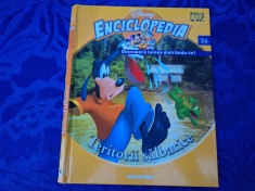 DeAgostini Enciclopedia | Disney Mickey Mouse carte copii | Teritorii