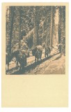 83 - ROMANIA, Soldiers traveling on horses - old postcard - unused