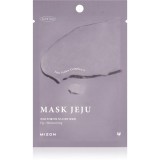 Mizon Joyful Time Jeju Fix mască textilă hidratantă 23 g