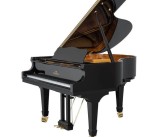 Pian PERZINA 152 cm
