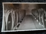 1960 din pivnitele Statiunii Blaj, vin, vinificatie oenologie adnotata verso