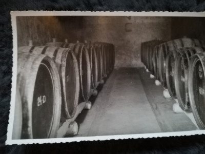 1960 din pivnitele Statiunii Blaj, vin, vinificatie oenologie adnotata verso foto