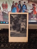 Sinaia, Castelul Peleș, Sala Florentină, circa 1924, 205, Necirculata, Printata