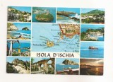 FA114 -Carte Postala- ITALY - Isola d'Ischia , circulata