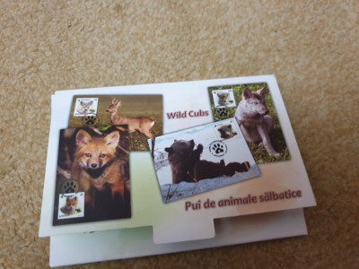 Rom&amp;acirc;nia set maxime 2012 pui de animale sălbatice foto