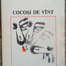 Cocosi de vant - Radu Boureanu// dedicatie si semnatura autor