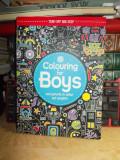 CARTE DE COLORAT PENTRU BAIETI / COLOURING FOR BOYS , JESSIE ECKEL , 2015