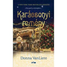 Kar&amp;aacute;csonyi rem&amp;eacute;ny - Donna VanLiere foto