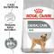 ROYAL CANIN Mini Dental Care granule pentru caini reducand formarea tartrului de 1 kg