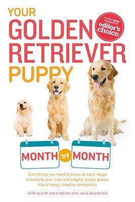 Your Golden Retriever Puppy Month by Month foto