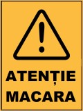 Placuta atentie macara