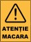 Foto  - 1