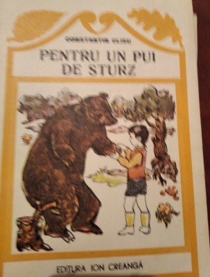 CONSTANTIN CLISU - PENTRU UN PUI DE STURZ foto