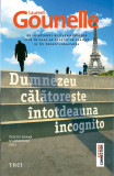 Dumnezeu calatoreste intotdeauna incognito | Laurent Gounelle, Trei