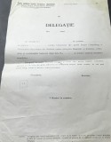 ACTE (3) - Delegatie - Militara - Bucovina - Campulung Moldovenesc