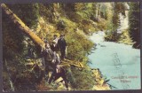 3029 - LOTRU, Valcea, Waterfall, Cascada, Romania - old postcard - used - 1912, Circulata, Printata