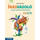&Iacute;r&aacute;sv&aacute;zol&oacute; - Anyanyelvi fejlesztőf&uuml;zet - Nagybetűk - MS-1652V - F&ouml;ldv&aacute;ri Erika