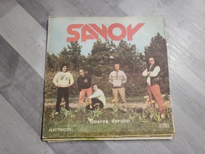 Floarea dorului-Savoy foto
