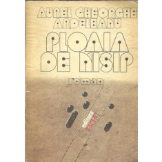 Ploaia de nisip - Aurel Gheorghe Ardeleanu