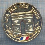 AZ 455 MEDALIE - LES FILS DES TUES - FII UCISI AI FRANTEI - ARCUL DE TRIUMF, Europa