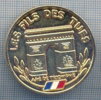 AZ 455 MEDALIE - LES FILS DES TUES - FII UCISI AI FRANTEI - ARCUL DE TRIUMF foto
