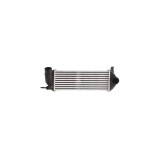 Intercooler RENAULT KANGOO BE BOP KW0 1 AVA Quality Cooling RT4471