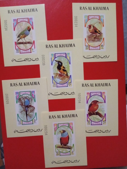 RAS AL KHAIMA, PĂSĂRI - COLIȚE MNH