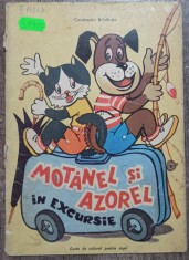Motanel si Azorel in excursie - Constantin Brindasiu foto
