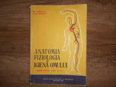 ANATOMIA SI FIZIOLOGIA OMULUI - MANUAL PENTRU CLASA A VII -A - EMIL SANIELEVICI foto