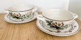 Set - boluri - supa - Villeroy and Boch - Botanica - 2 persoane