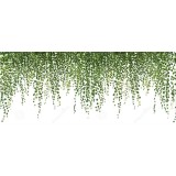 Autocolant Decorativ Pentru Perete, Frunze Tropicale,70 X 30 CM, CBD CORAL BEST DEALS Verde 30 cm 70 cm 30 cm Verde 1 Folie