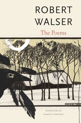 The Poems foto