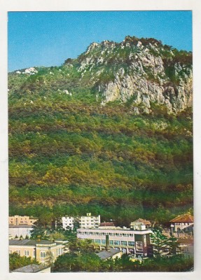 bnk cp Baile Herculane - Muntele Domogled - circulata foto