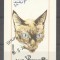 Dhufar 1974 Cats, mini imperf.sheet, used AI.019