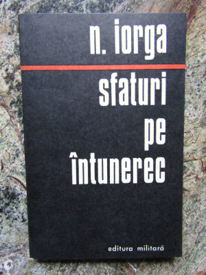 N. Iorga - Sfaturi pe intuneric foto