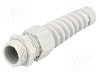 Presetupa poliamida, PG13,5, IP68, HELUTOP HT-K, HELUKABEL - HT-K PG13 RAL7035