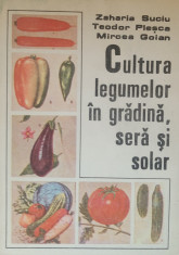 Cultura legumelor in gradina, sera si solar - Zaharia Suciu, Teodor Plesca foto
