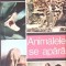 ANIMALELE SE APARA-TUDOR OPRIS-266204