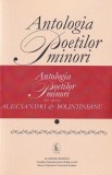 Antologia poeților minori din epoca Alecsandri &amp; Bolintineanu (2 volume) - Paperback brosat - Academia Rom&acirc;nă - Fundația Națională pentru Știință și A