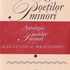 Antologia poeților minori din epoca Alecsandri & Bolintineanu (2 volume) - Paperback brosat - Academia Română - Fundația Națională pentru Știință și A