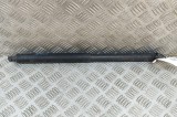 Amortizor haion st&acirc;nga BMW X5 E70 2010 OEM: 7177283 26021978