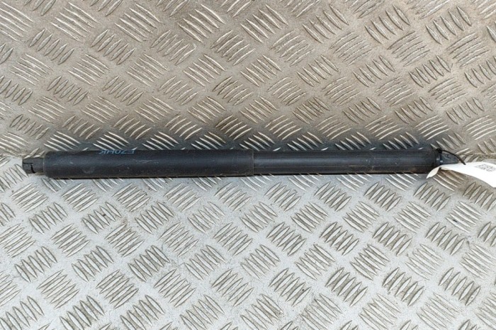 Amortizor haion st&acirc;nga BMW X5 E70 2010 OEM: 7177283 26021978