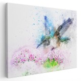 Tablou canvas pictura pasare colibri in zbor, roz, verde, albastru 1106 Tablou canvas pe panza CU RAMA 50x70 cm