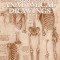 Leonardo&#039;s Anatomical Drawings